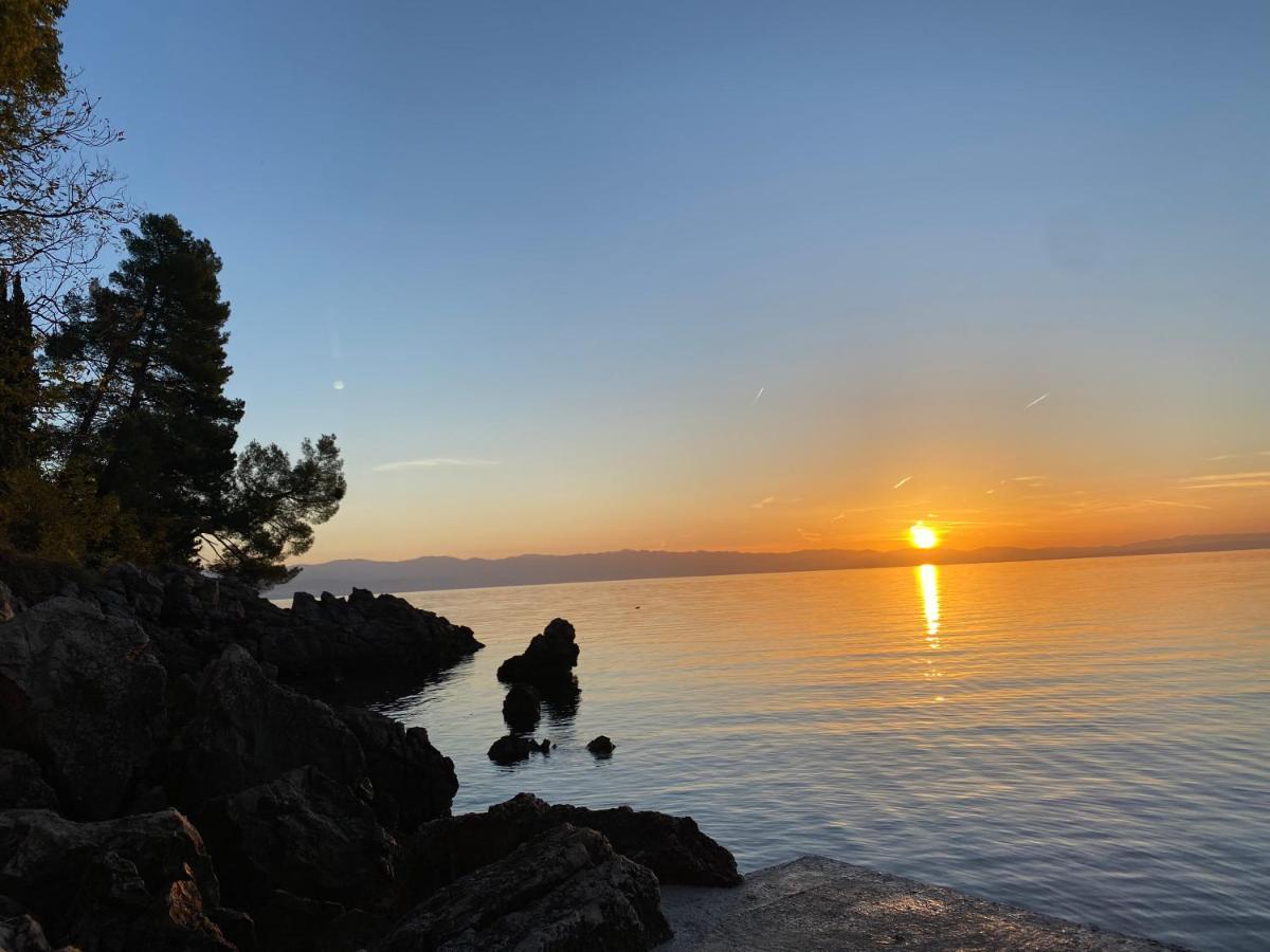 Villa Lovran - 150M To The Beach - Infinity Pool - Incredible Sea View - Fitness Room Exteriör bild