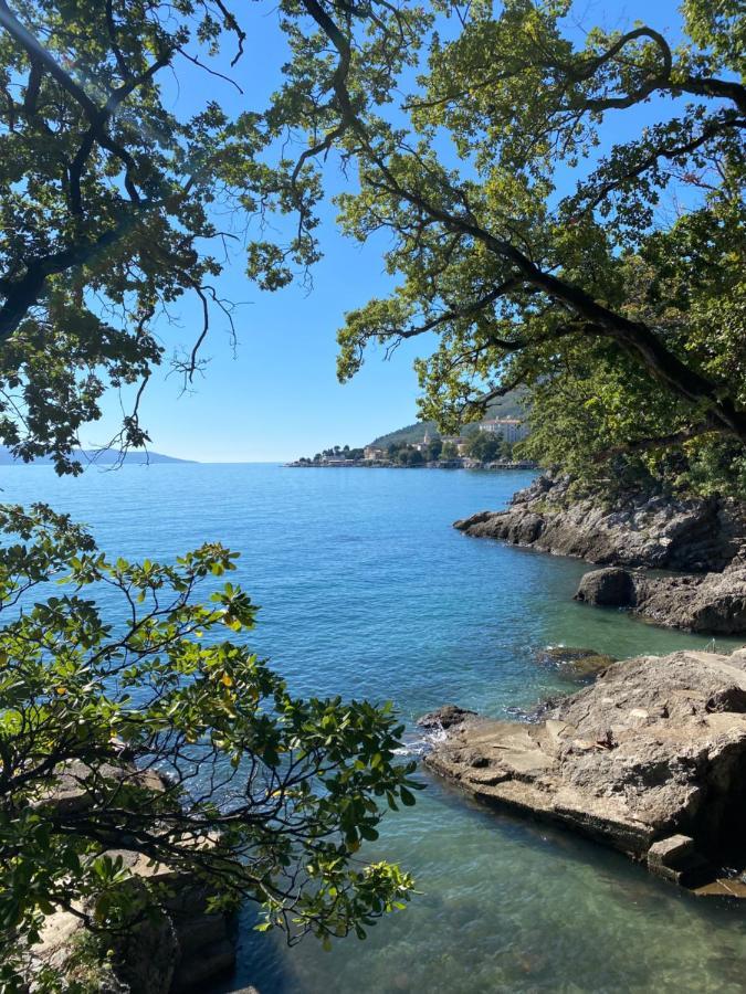 Villa Lovran - 150M To The Beach - Infinity Pool - Incredible Sea View - Fitness Room Exteriör bild